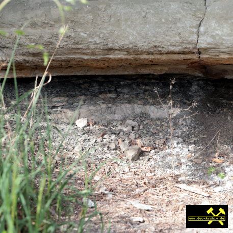 Gipskeuper am Schwanberg NO von Iphofen, Bayern - 18. Mai 2023 (15).JPG